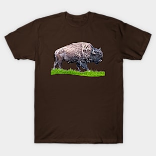 Bison Roaming No.1 T-Shirt